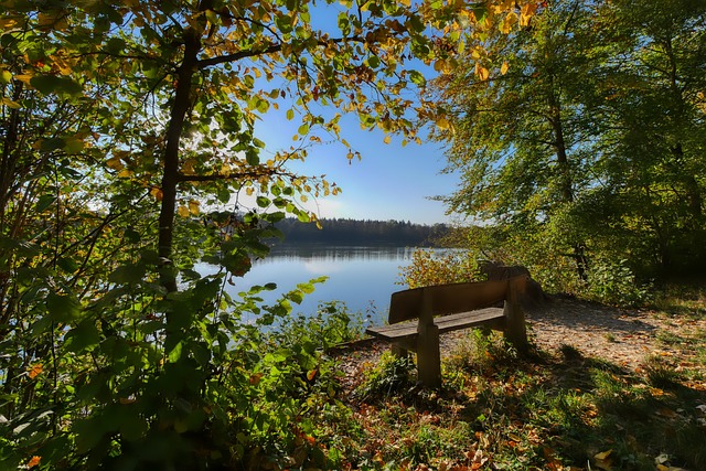 在的真实与 在的真实与