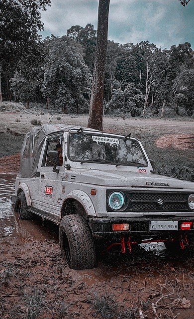 这次比赛也 这次比赛也