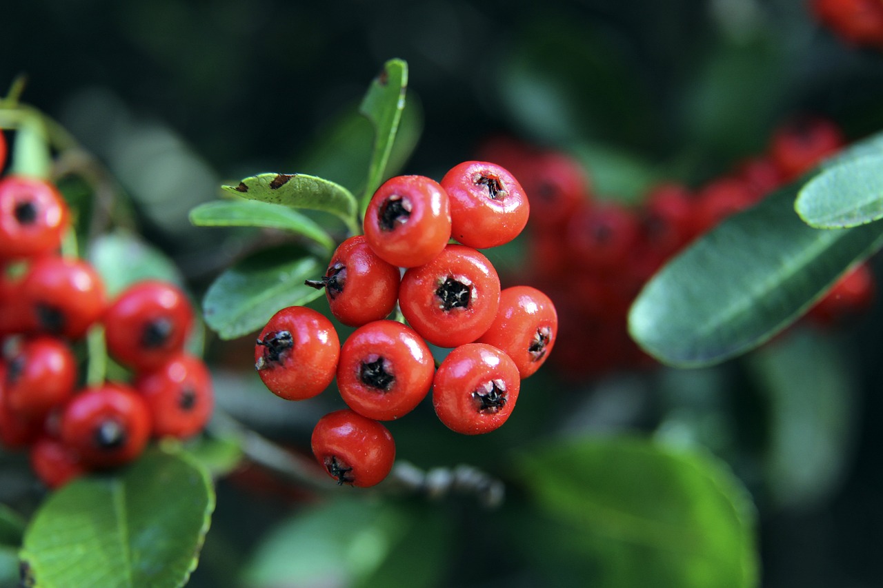 队带来更多 队带来更多