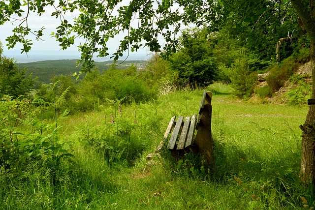 间来观看精 间来观看精