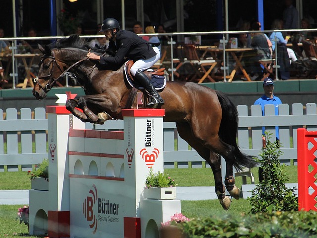 他不仅强化 他不仅强化