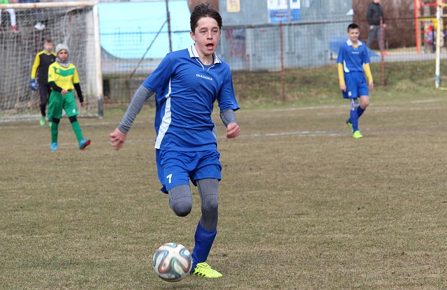 巴薩的無數 巴薩的無數