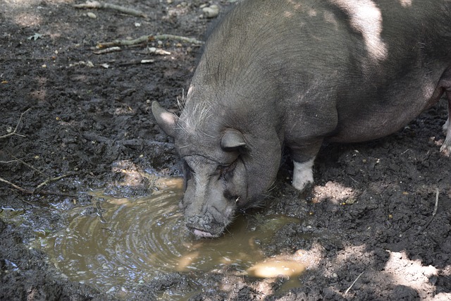 过度运动容 过度运动容