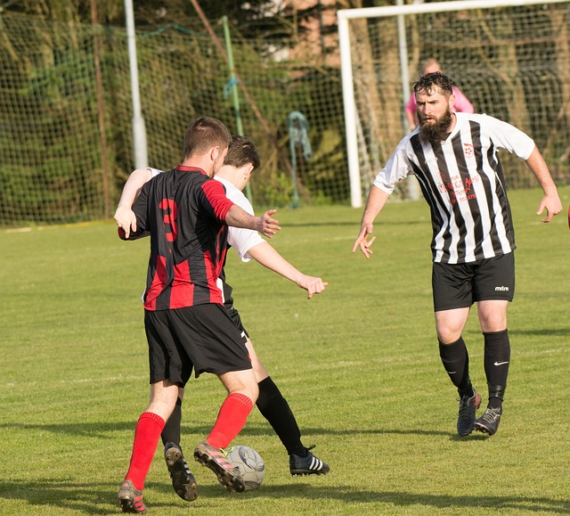 度拔得头筹 度拔得头筹